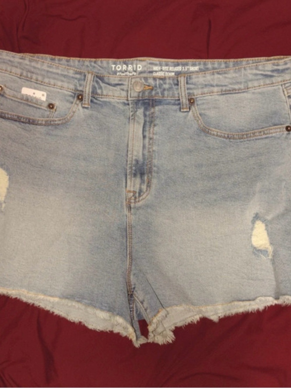 NWT Torrid Light Wash Frayed Hem Denim Shorts - Light Blue